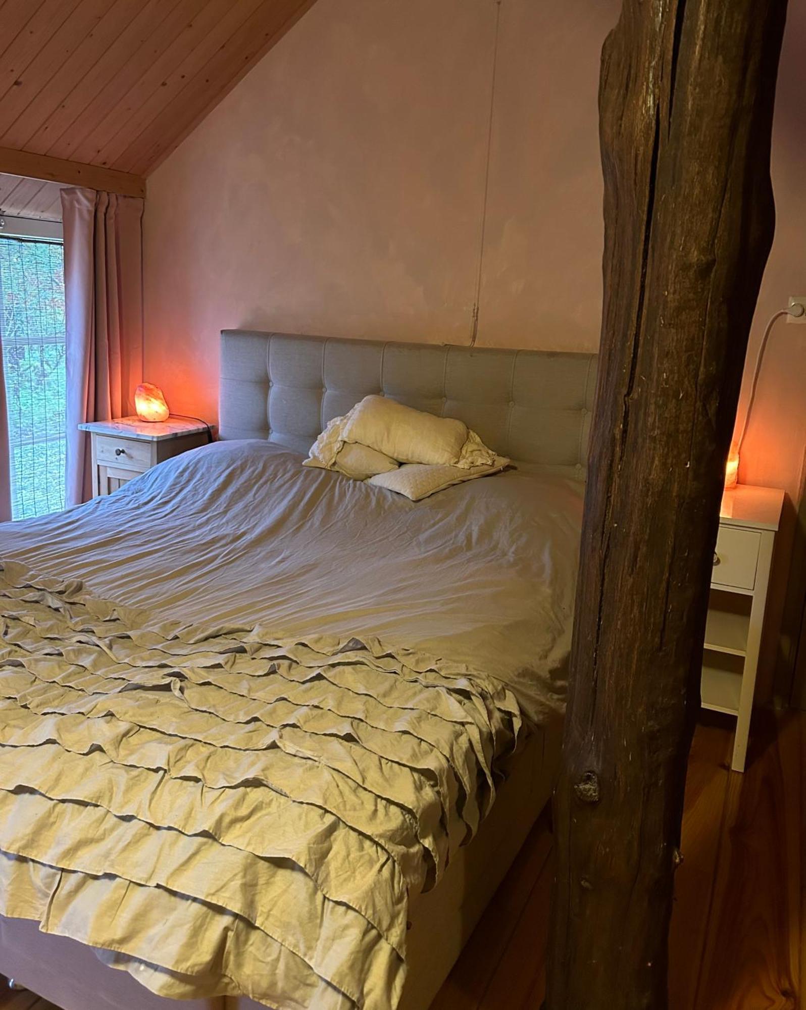 Landgoed De Bongel Bed & Breakfast De Wijk Dış mekan fotoğraf